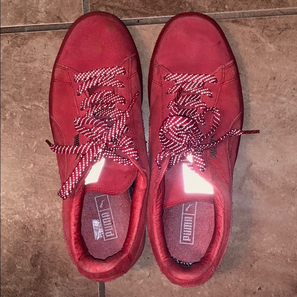 Red pumas